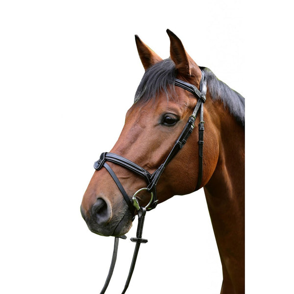 Charlotte bridle with gel-padding HKM