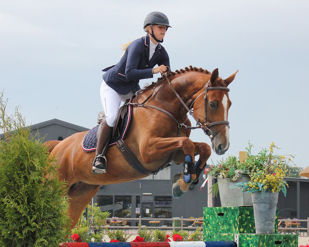 Coco breeches in Midnight white