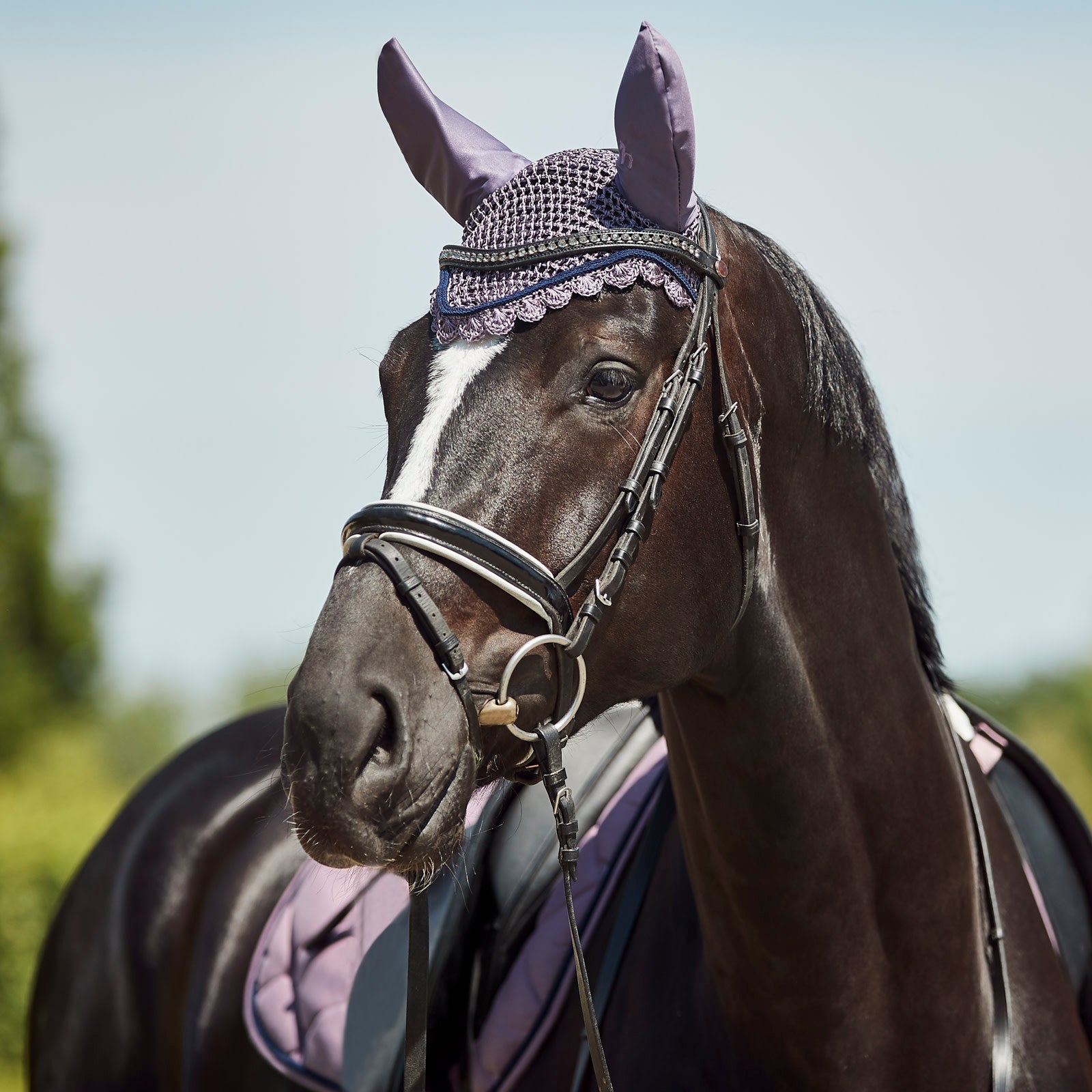 Horze Ghent Ear Net Pony and Full Size