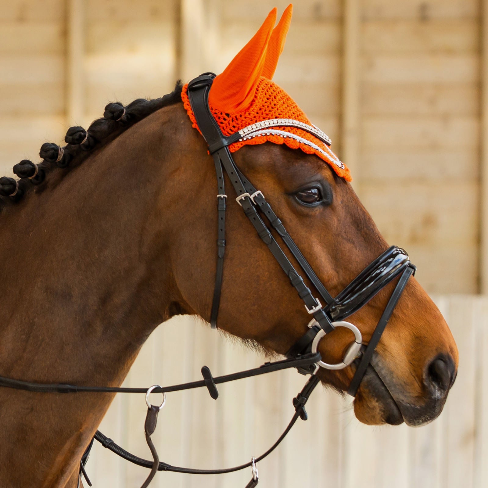 Horze Grayson Classic Dressage Ergonomic Bridle Cob and Pony Size
