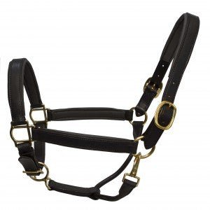 Thinline Soft Padded Leather Halter with brass Pony Size
