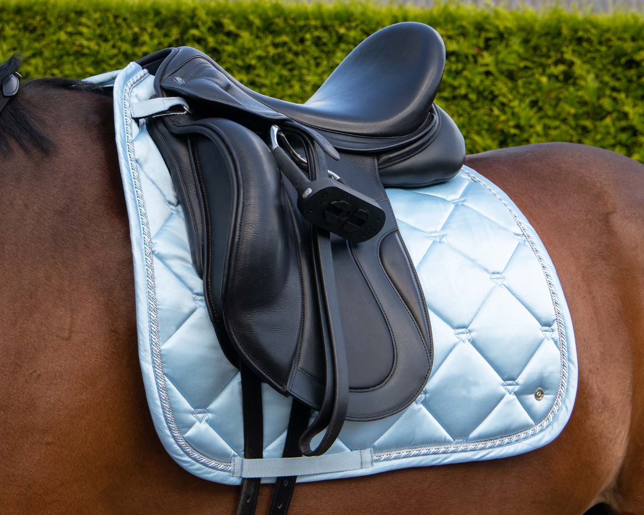 Havana Saddle Pad Full and Pony Size QHP