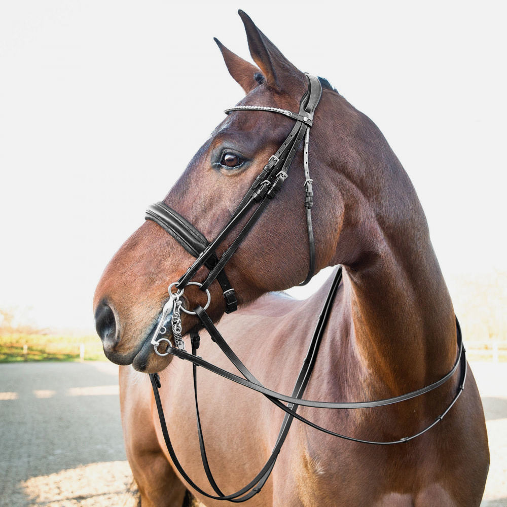 Horze Vienna Weymouth Bridle