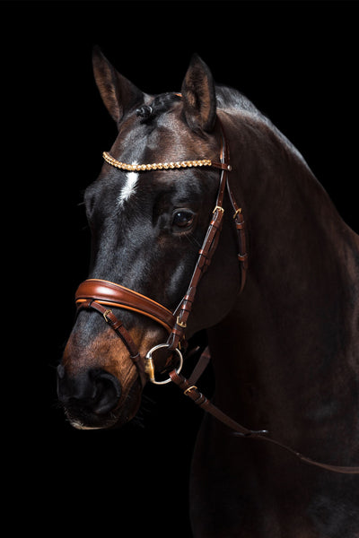 Marrakesh bridle by HKM