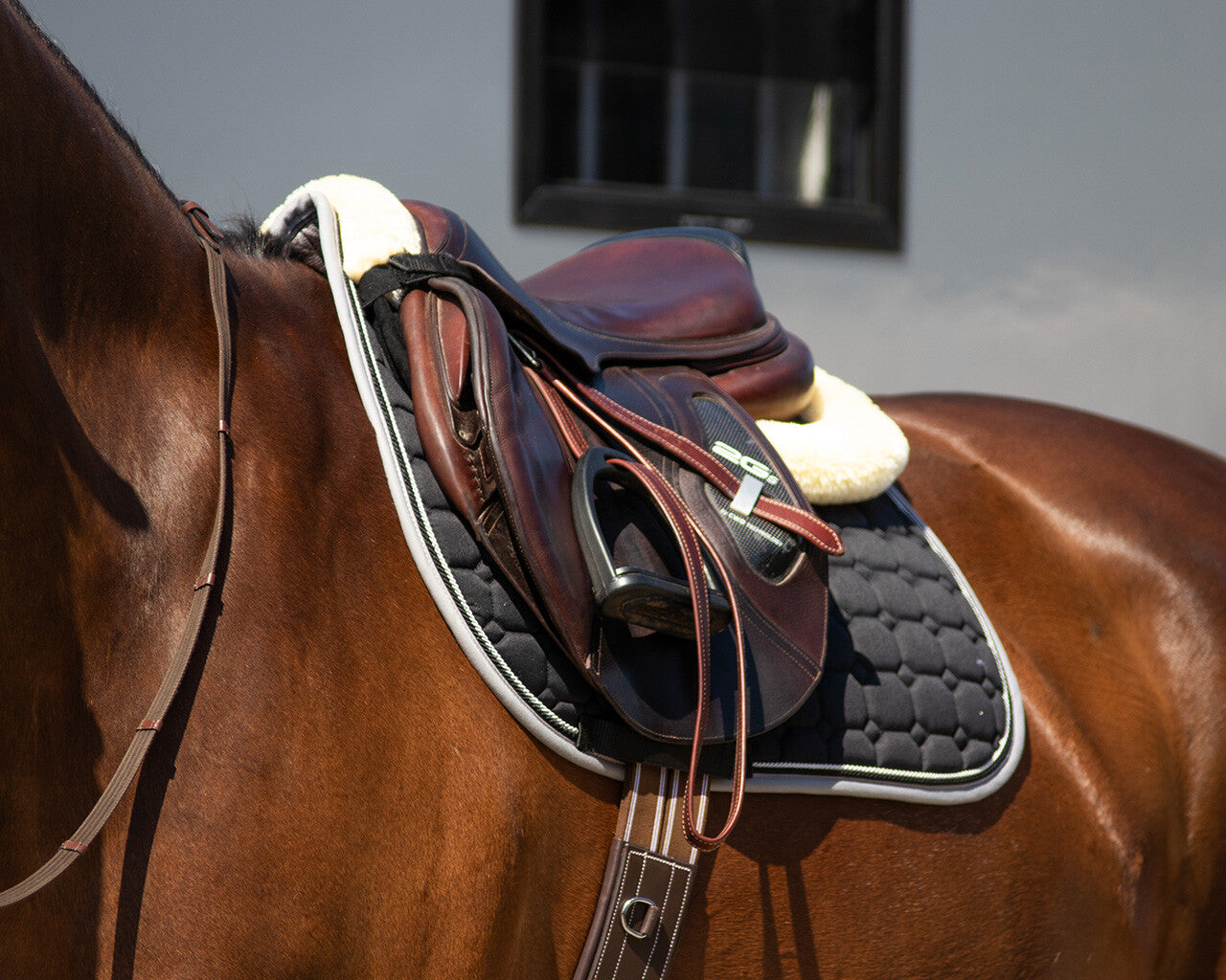 Ontario Half Pad with Memory Foam by QHP