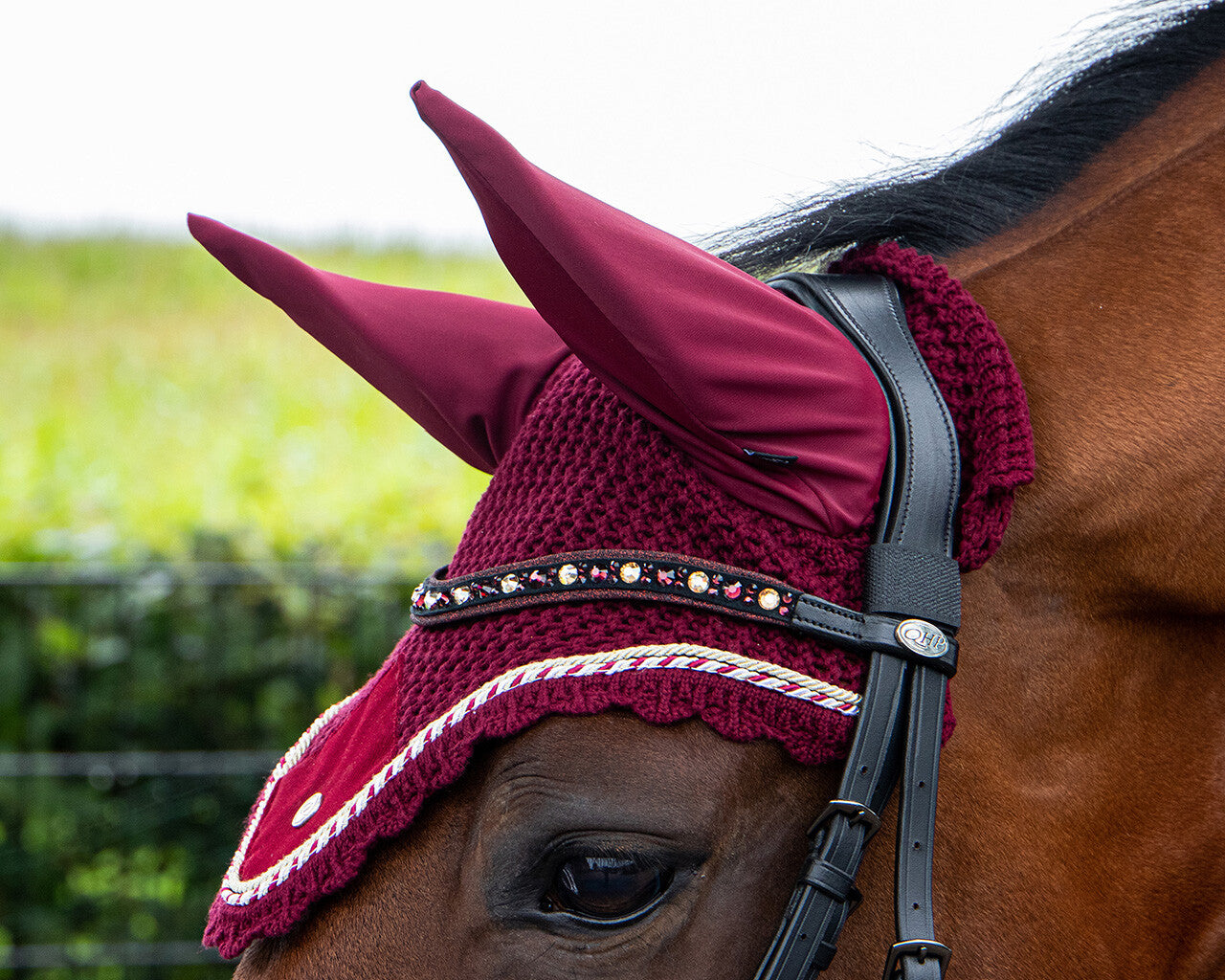 Ear Net Orlando QHP cob size
