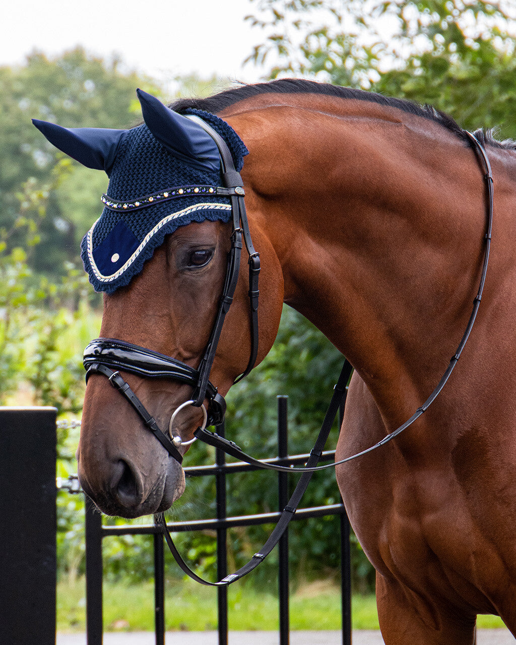 Ear Net Orlando QHP cob size
