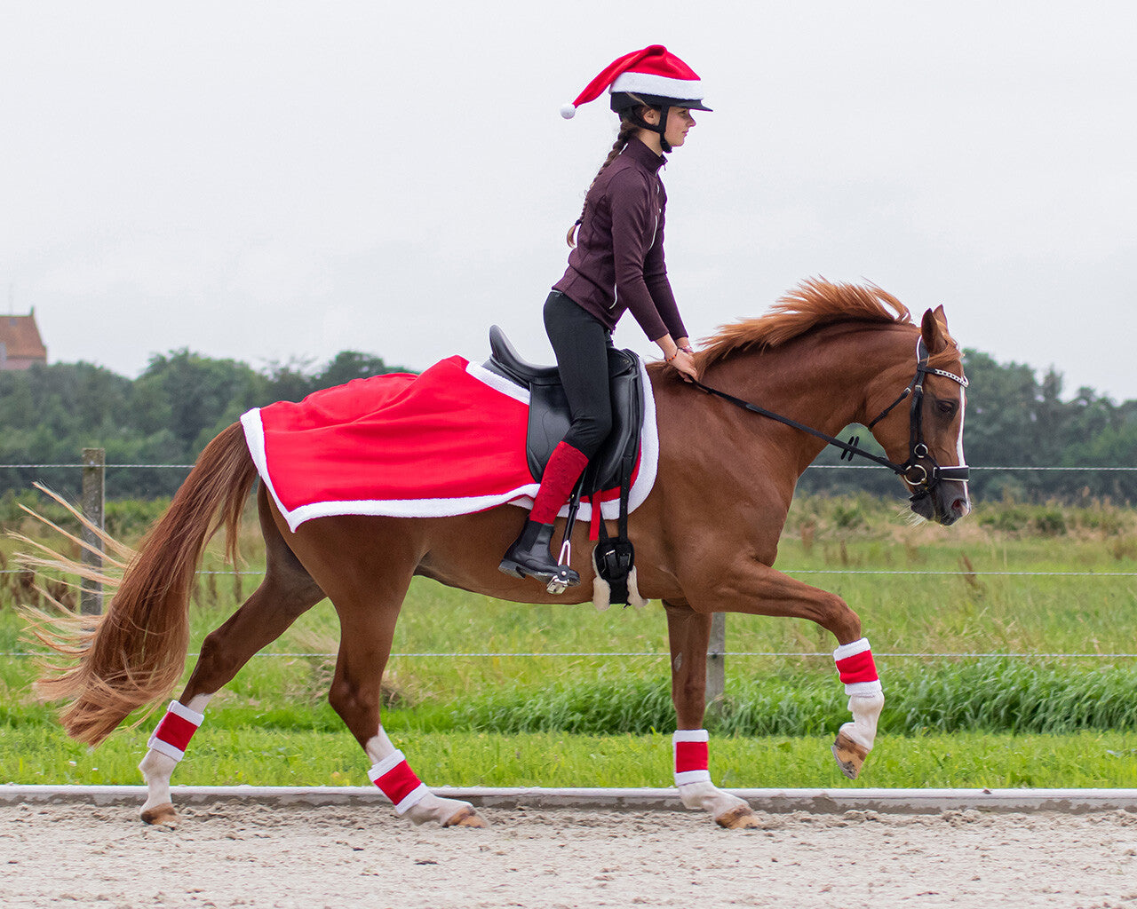 QHP Christmas Helmet Cover