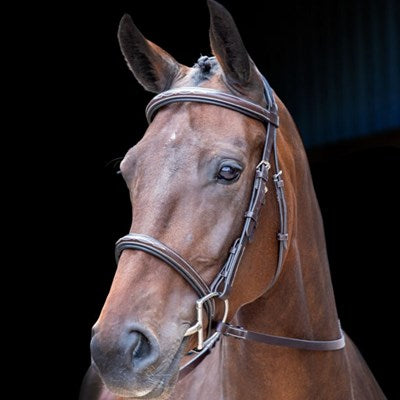 Rossano Amalfi Bridle by Shires