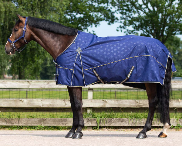 Fleece Lined turnout Rug by QHP
