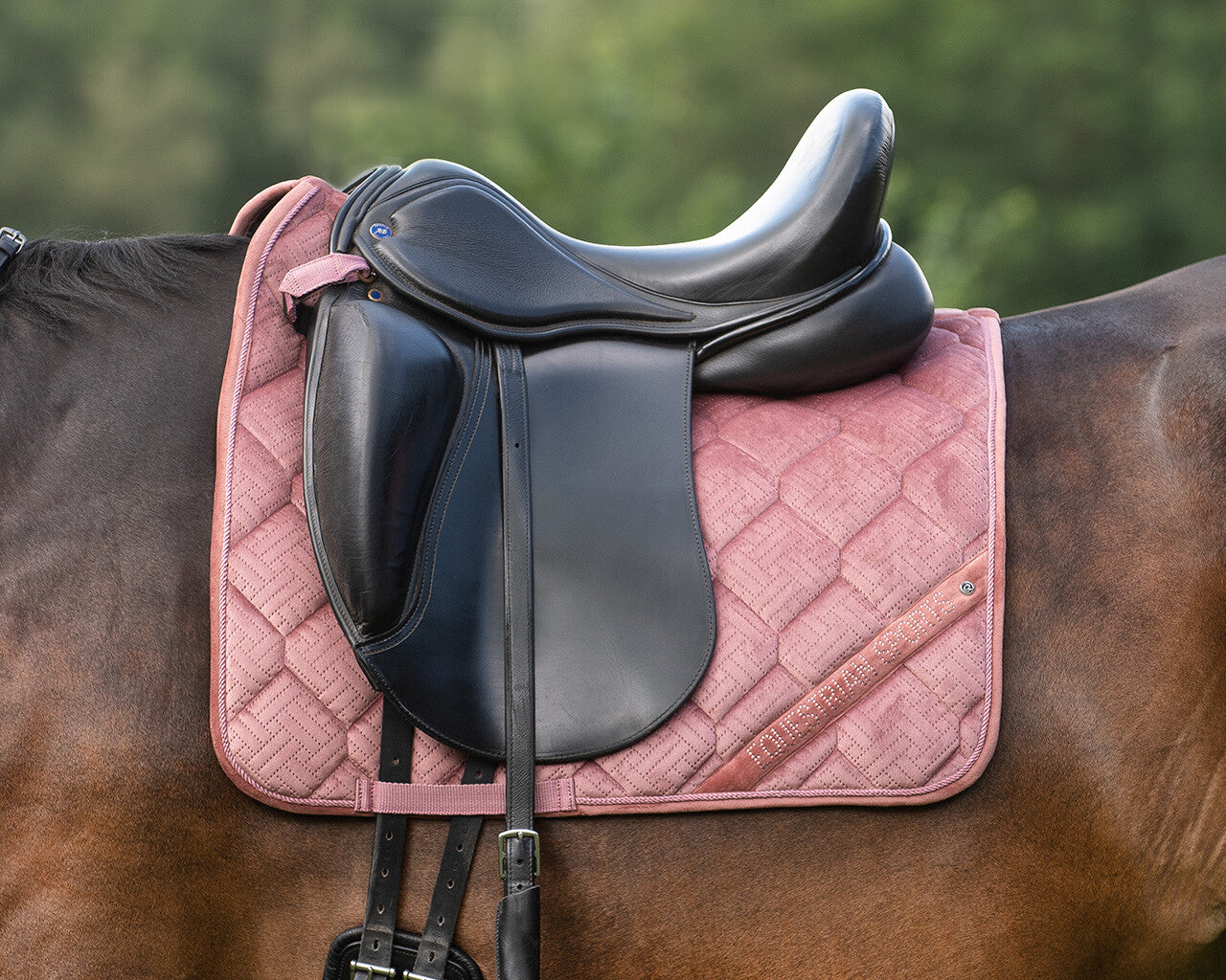 Summer Glow dressage Saddle pad by QHP