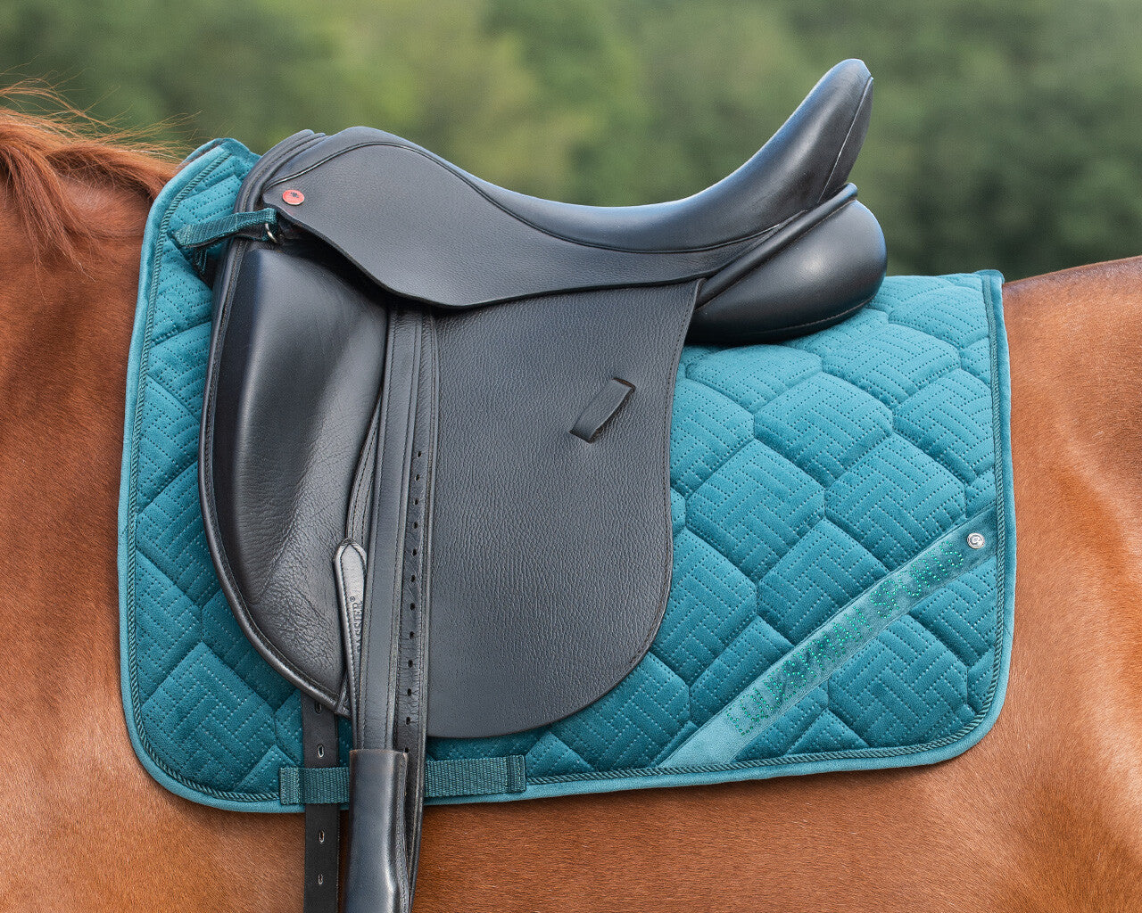 Summer Glow dressage Saddle pad by QHP