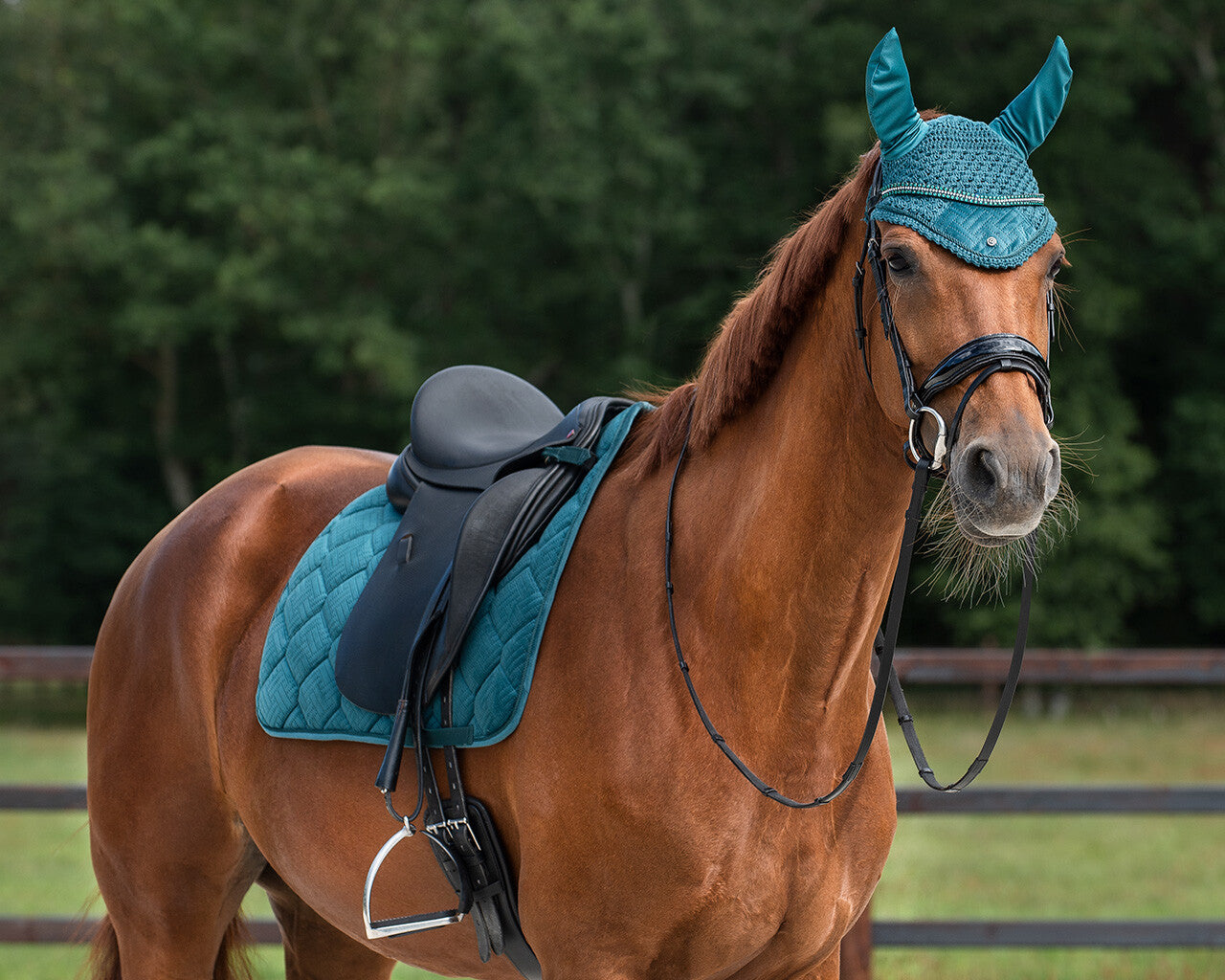 Summer Glow dressage Saddle pad by QHP