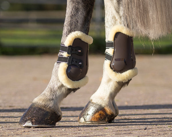 Fetlock Boots Ontario by QHP