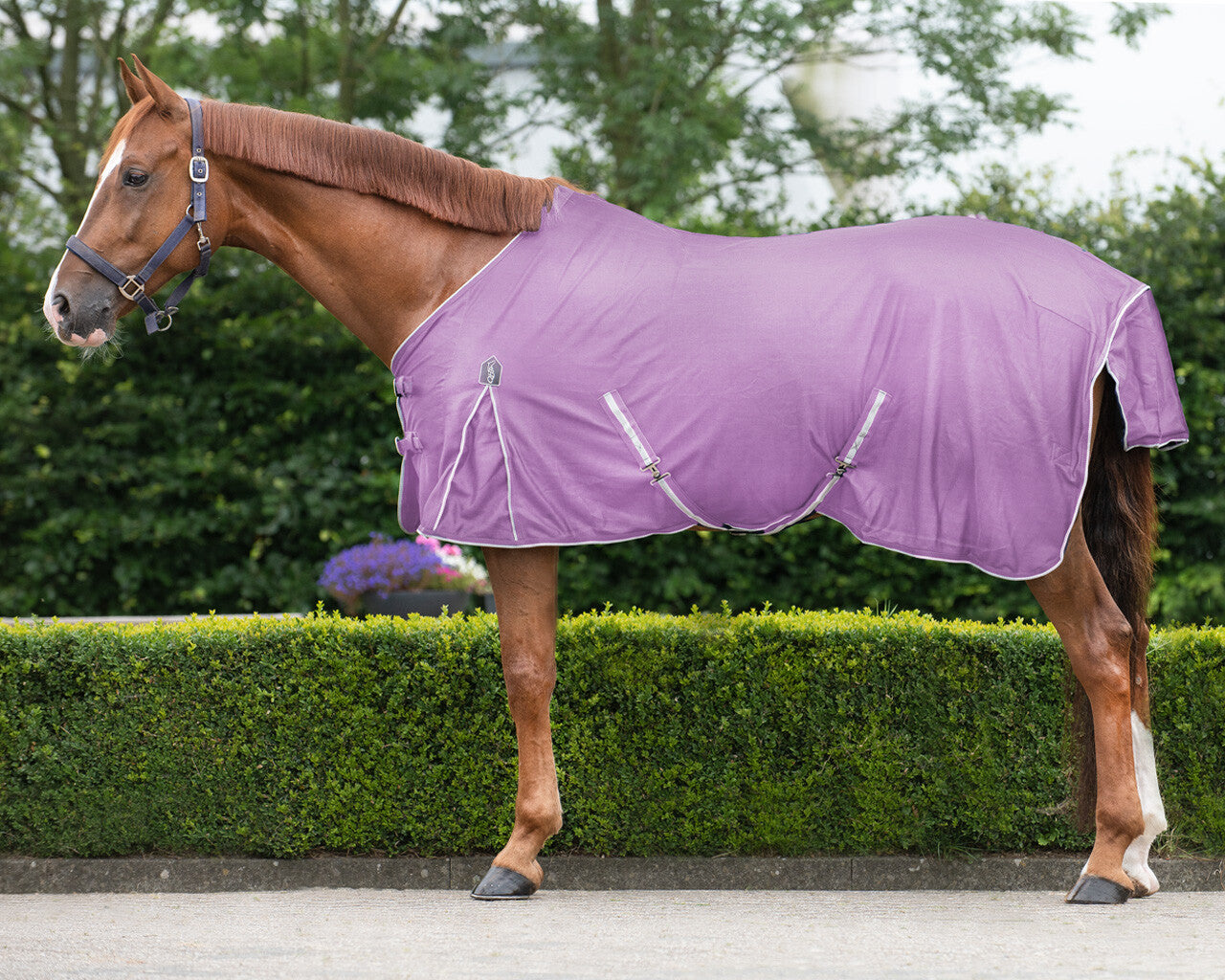 Basic Fly Sheet by QHP