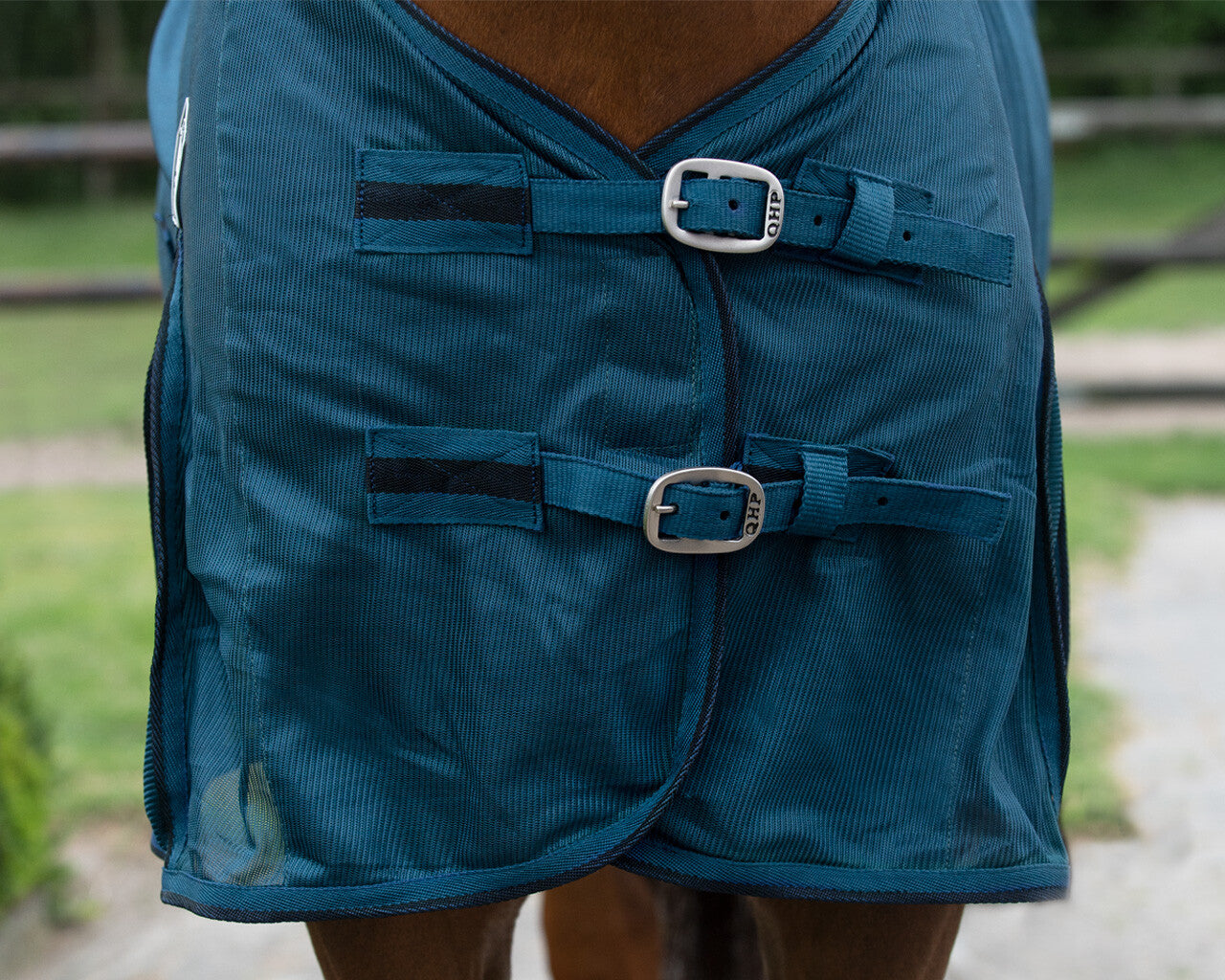 Basic Fly Sheet by QHP