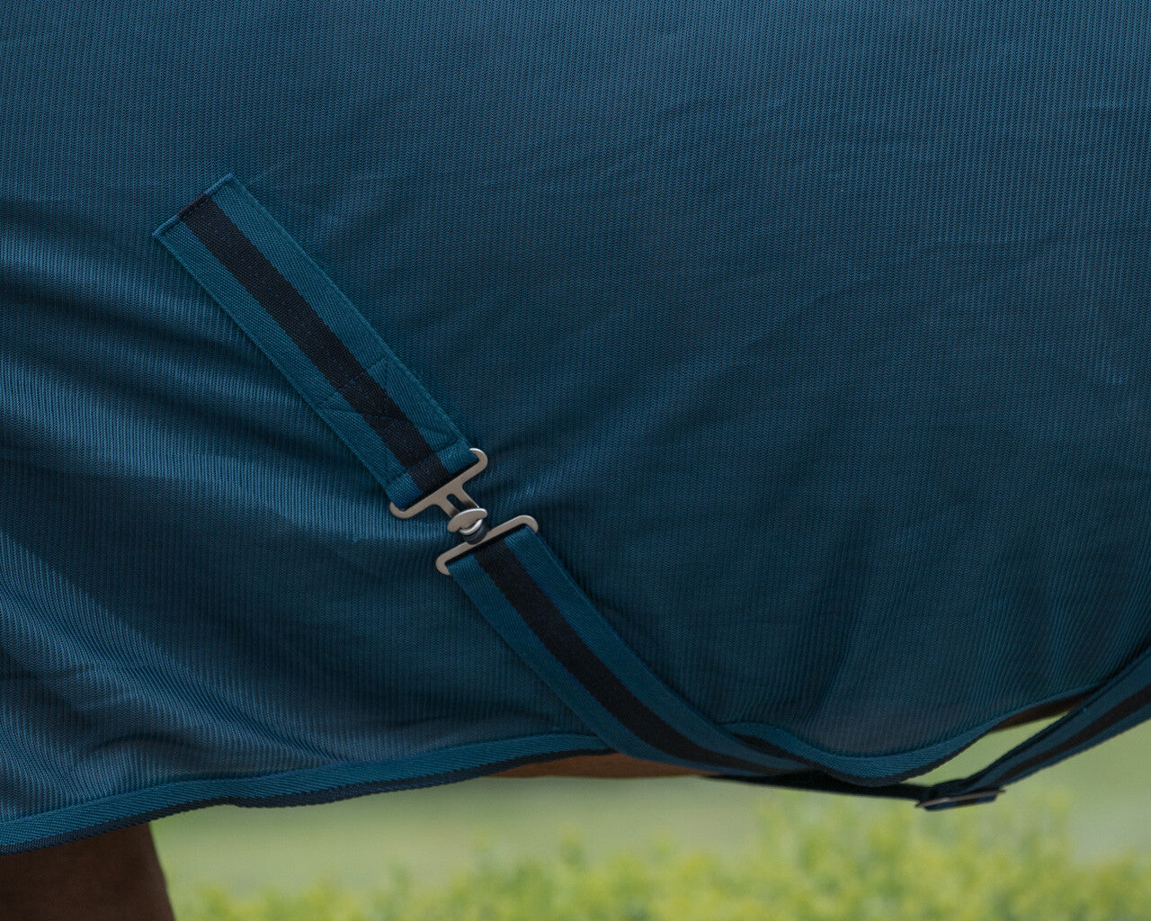 Basic Fly Sheet by QHP