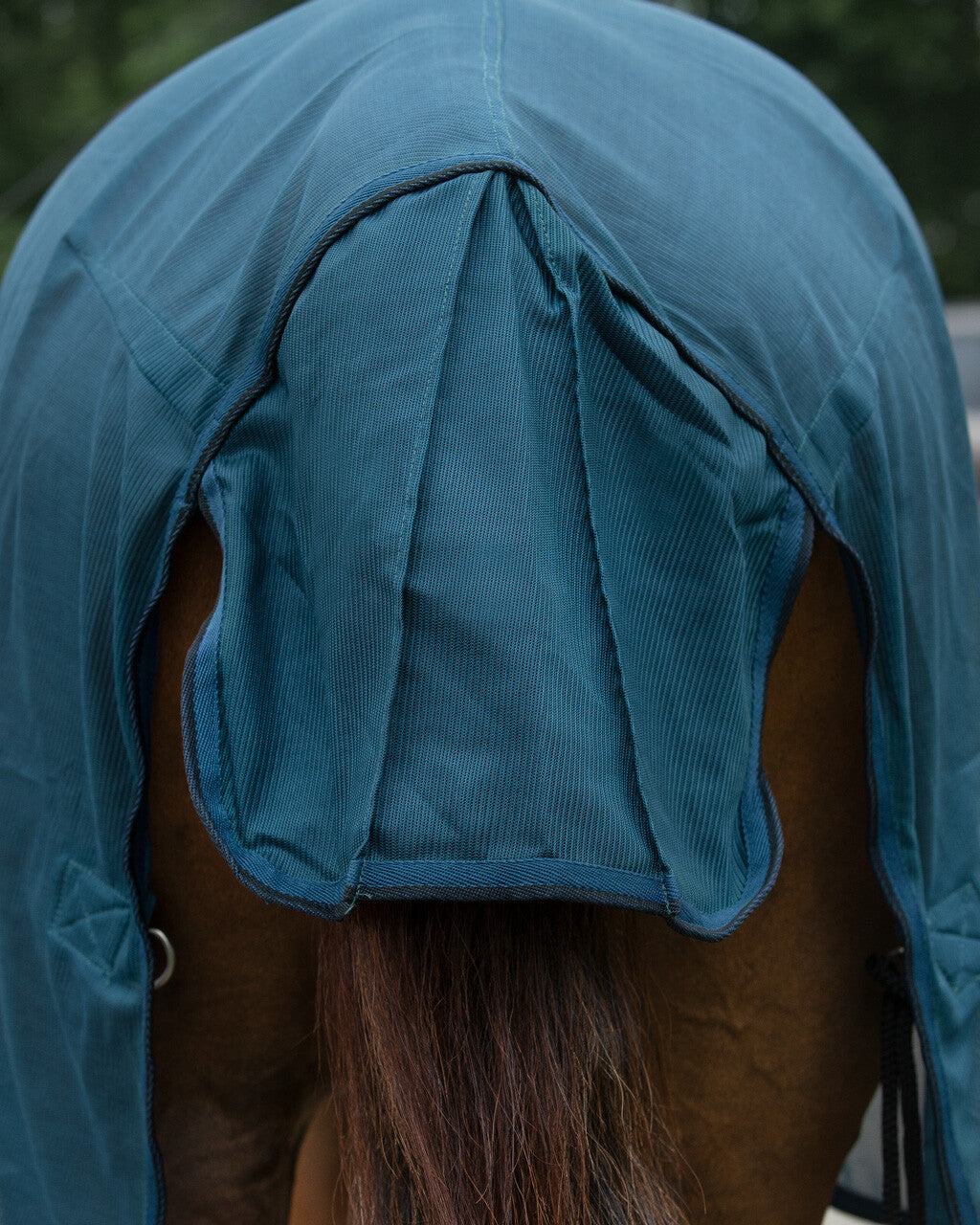 Basic Fly Sheet by QHP