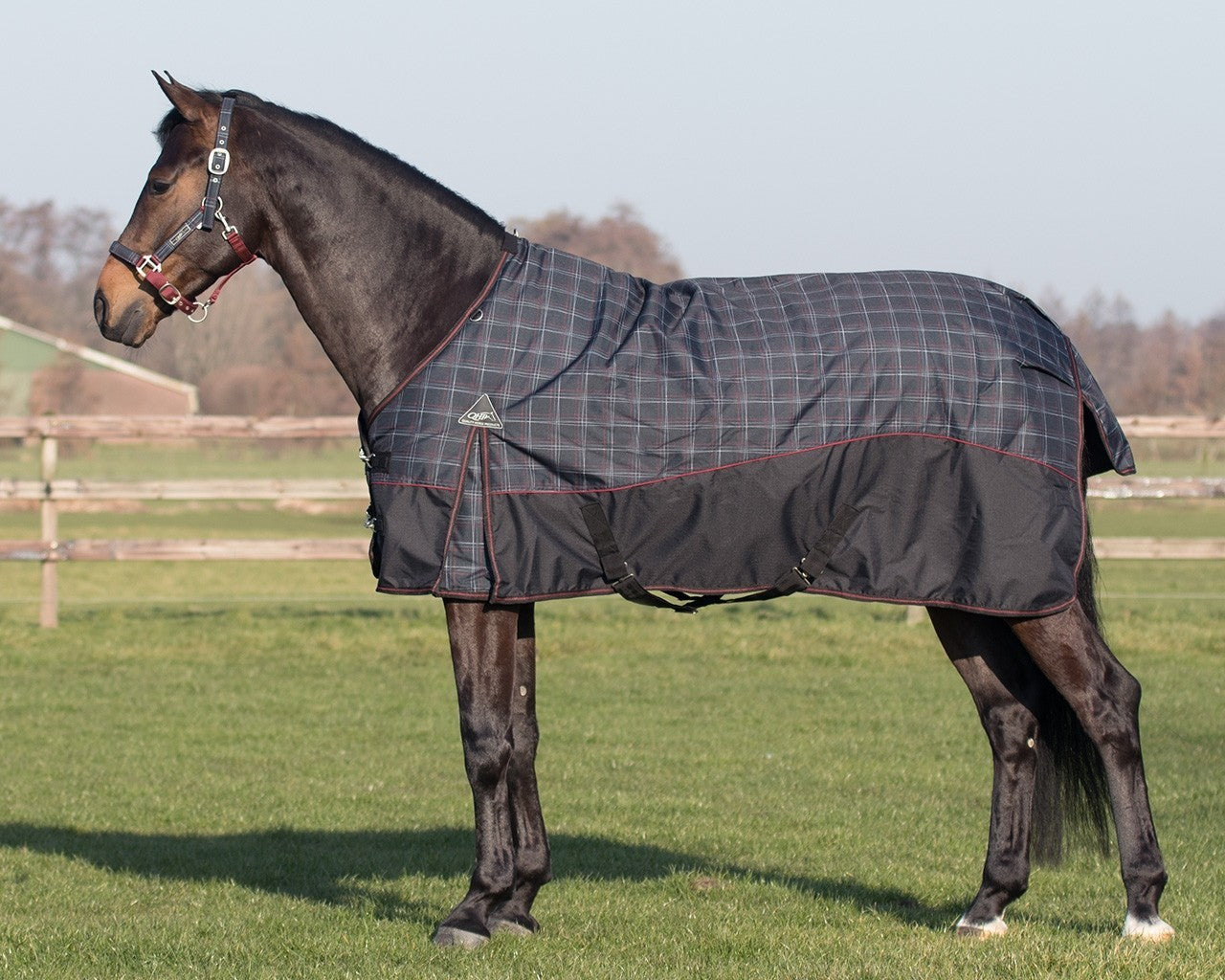 Turn-out Rug 150 gr dotted check