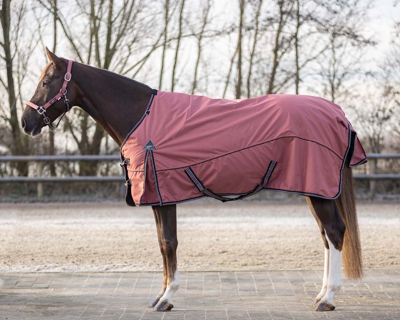 QHP Turn-out rug 150 grams