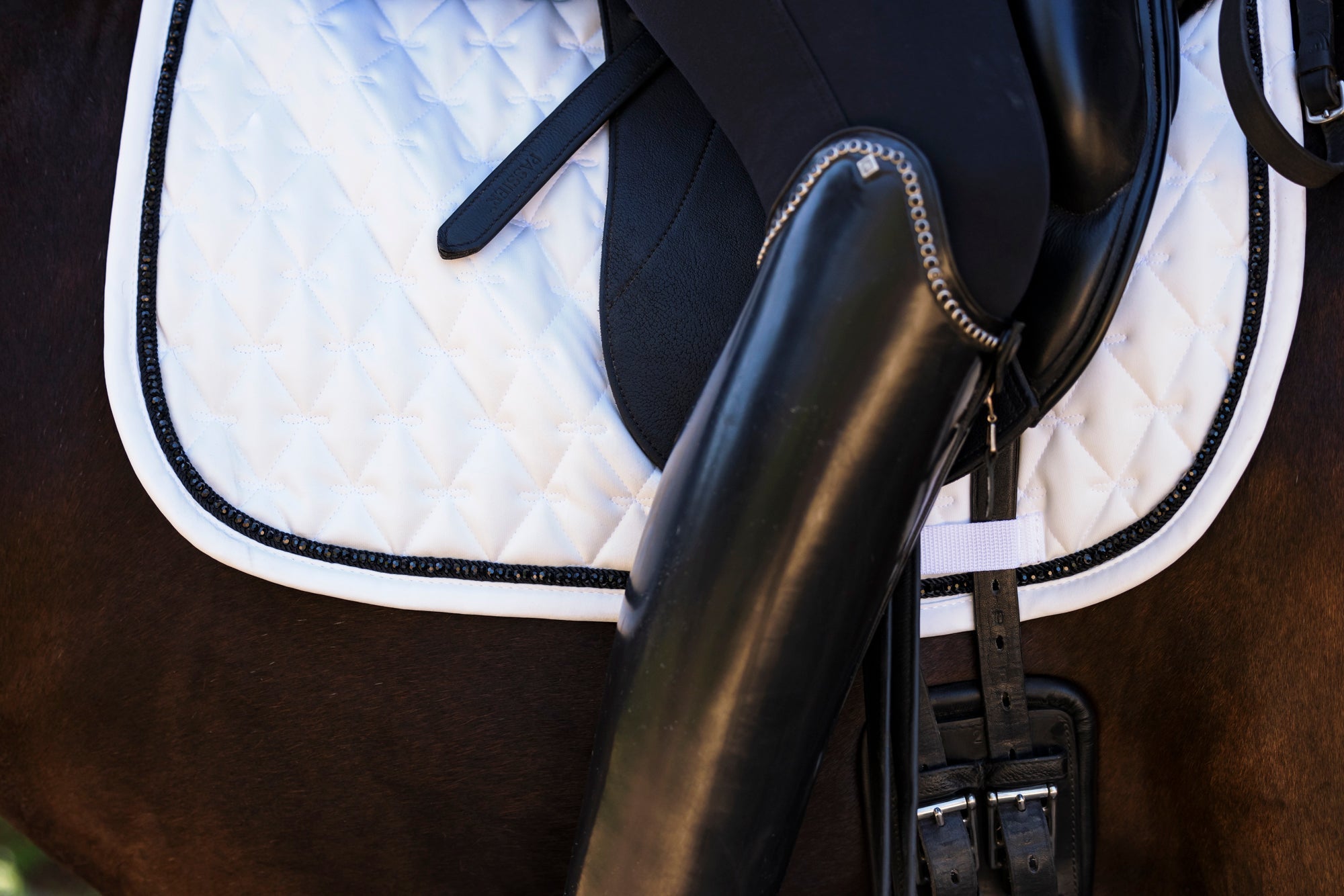 Saddle Pads