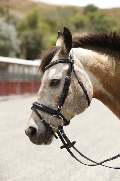 Two-tone Stallmeister Bridle by Dobert