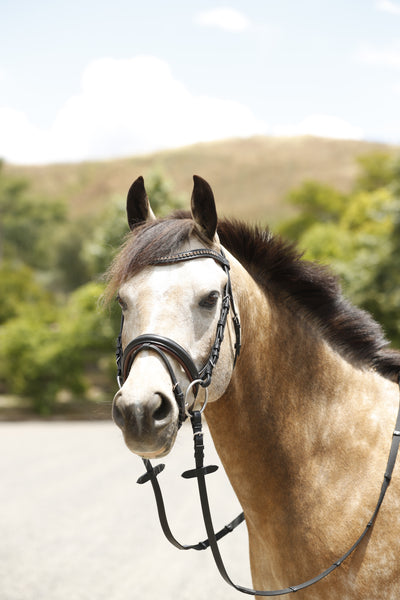 Two-tone Stallmeister Bridle by Dobert