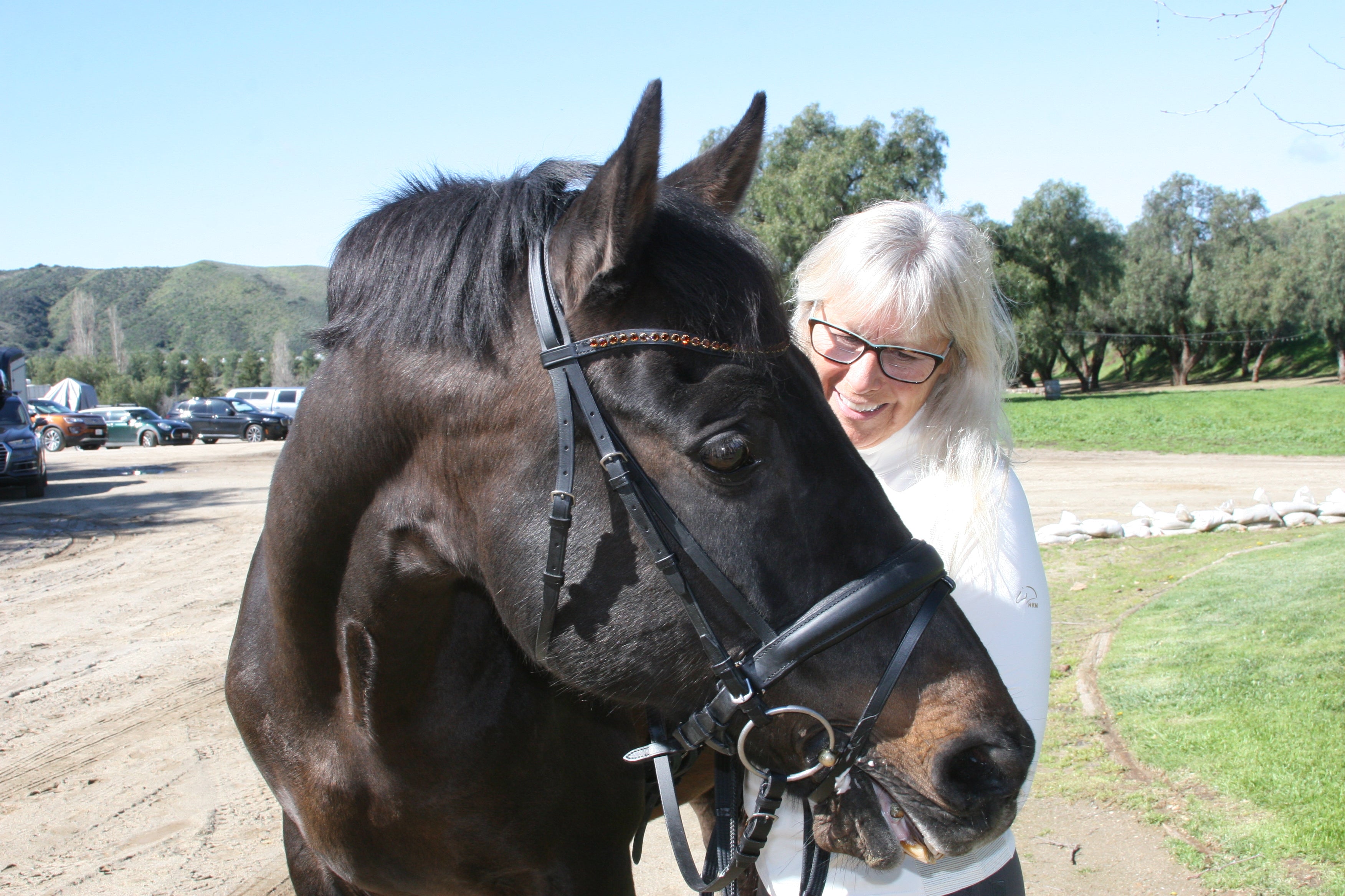 Classic Plain Snaffle Bridle by Dobert