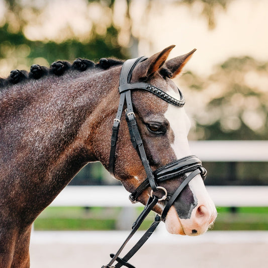 Arcadia Luxury Leather Bridle (Lumi Pony)