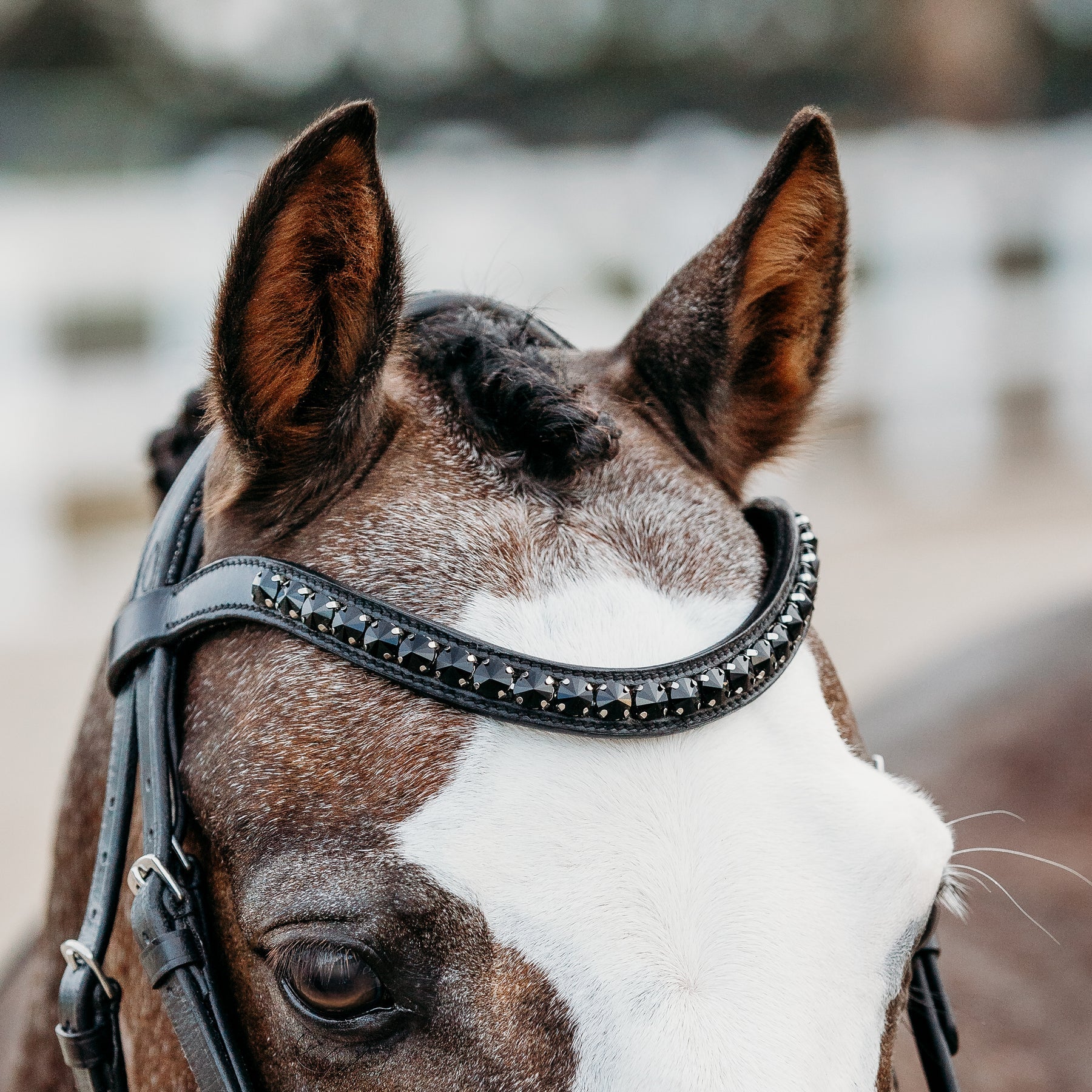 Arcadia Luxury Leather Bridle (Lumi Pony)