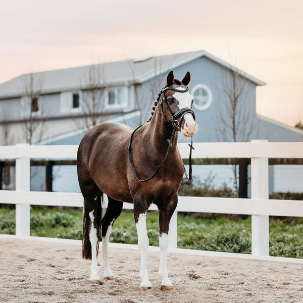 Arcadia Luxury Leather Bridle (Lumi Pony)