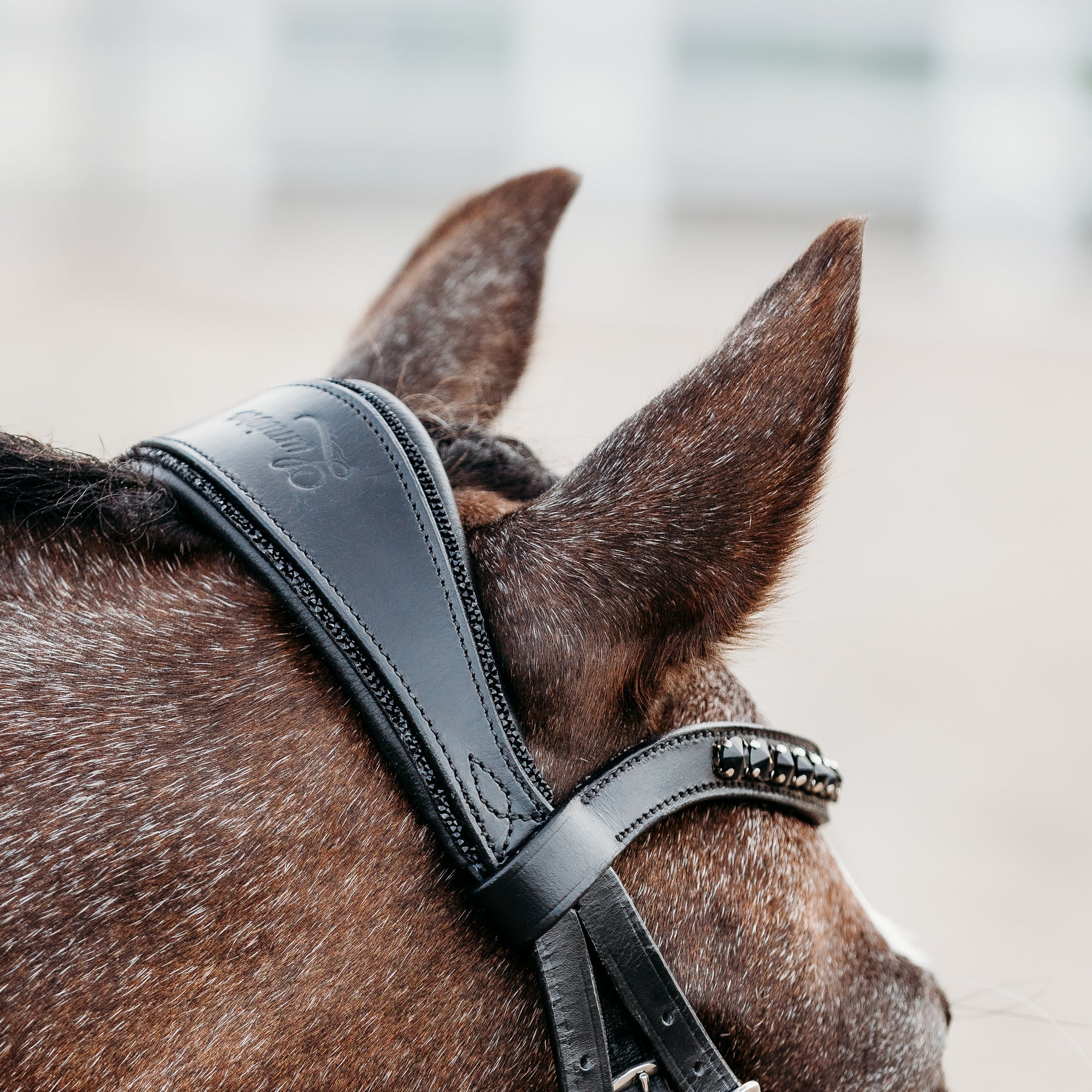 Arcadia Luxury Leather Bridle (Lumi Pony)