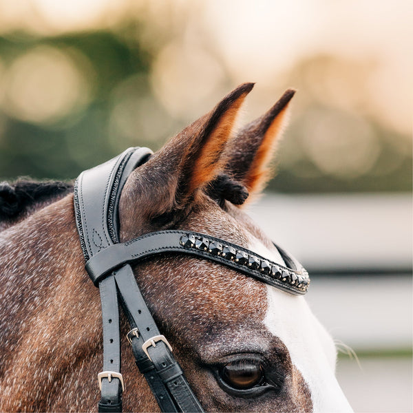 Arcadia Luxury Leather Bridle (Lumi Pony)