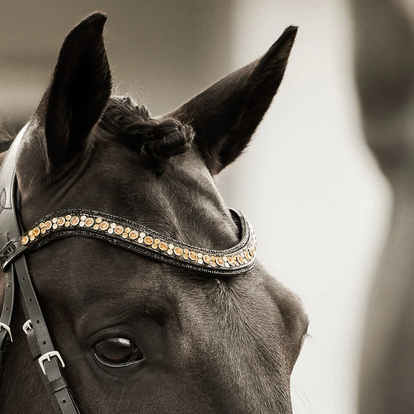 Ariana Browband by Lumiere