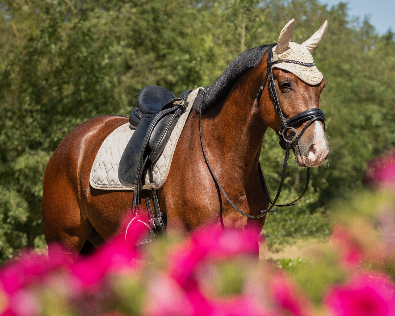 Browband Fading by QHP