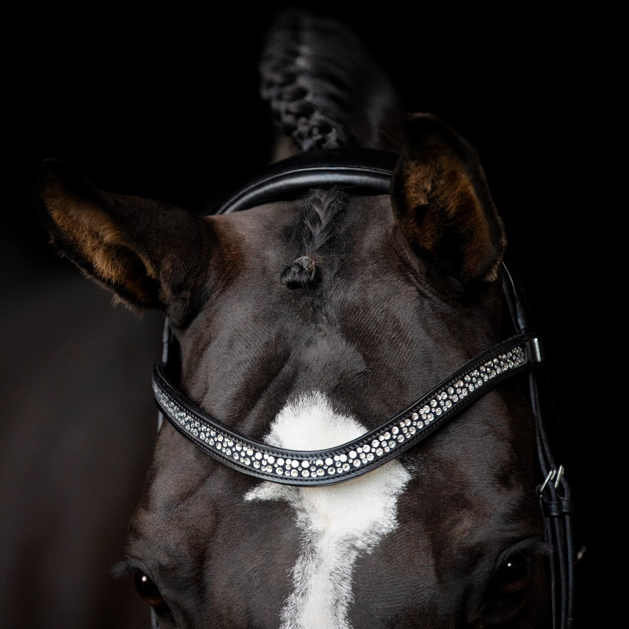 Calegro Bridle by SD Design pony size