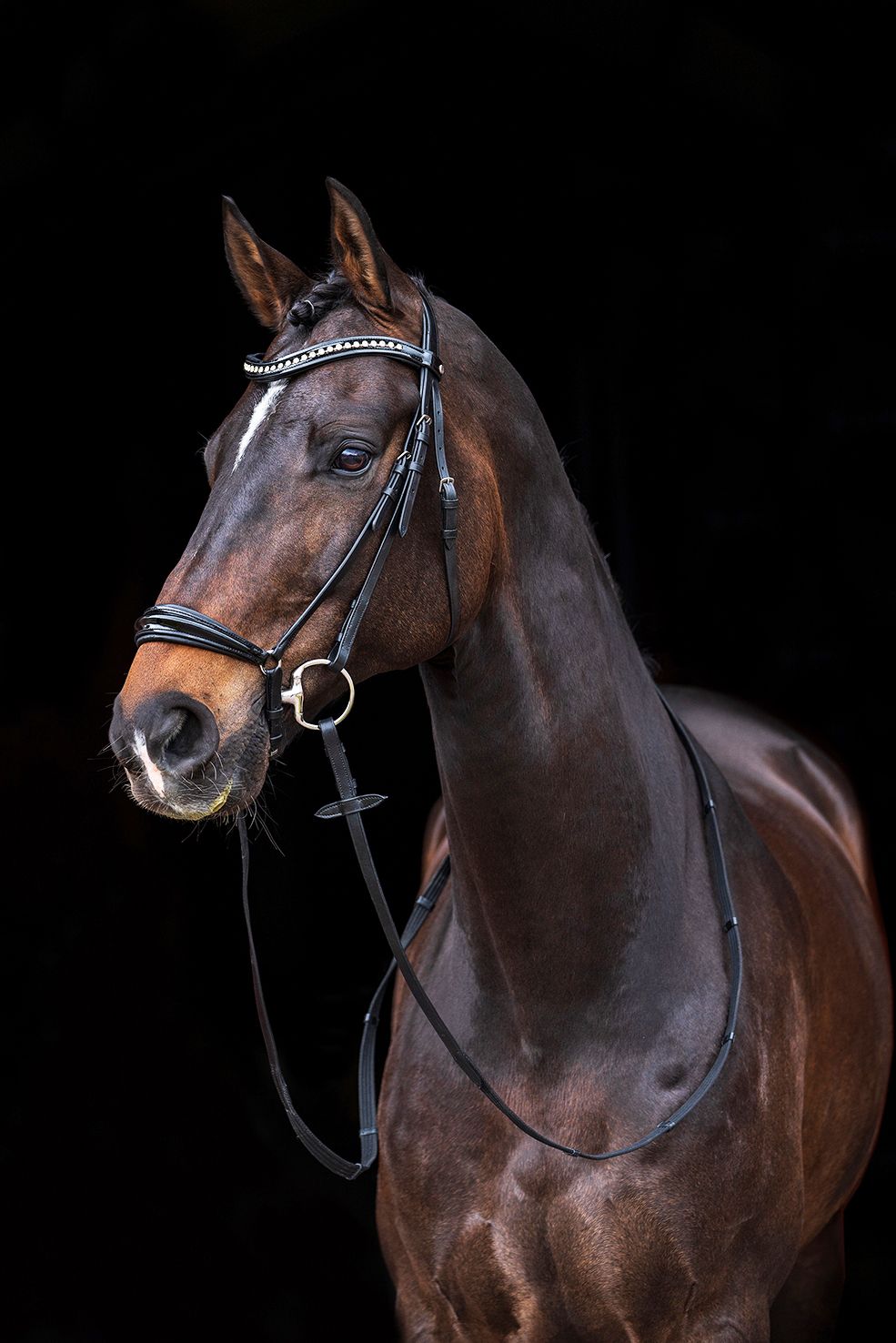 Carolin Drop Noseband Bridle by HKM