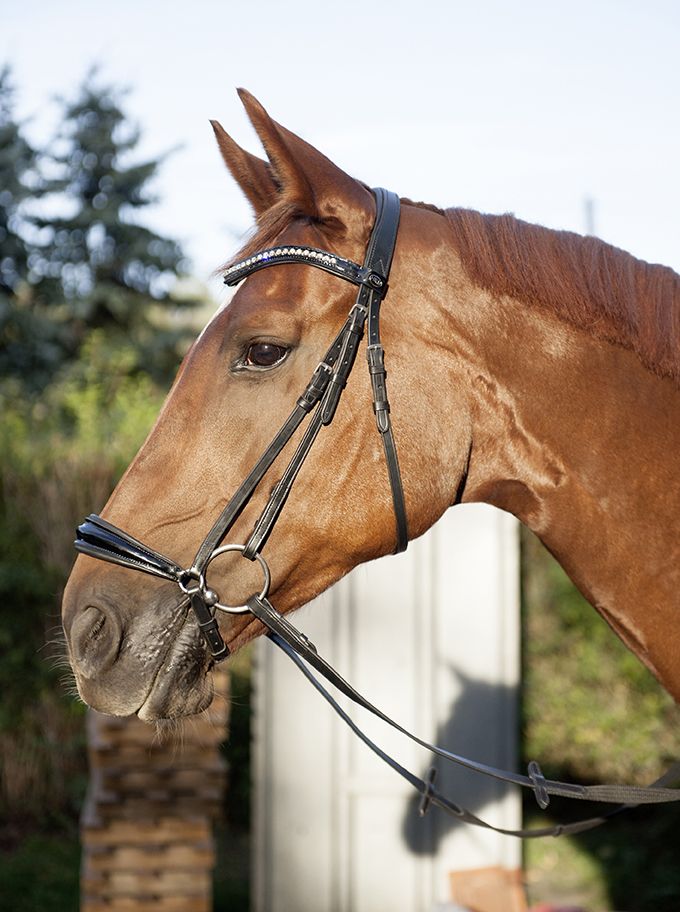 Carolin Drop Noseband Bridle by HKM