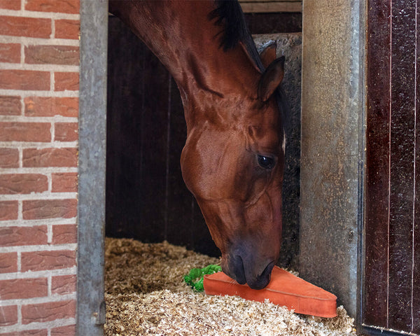 Horse Carrot Toy XL