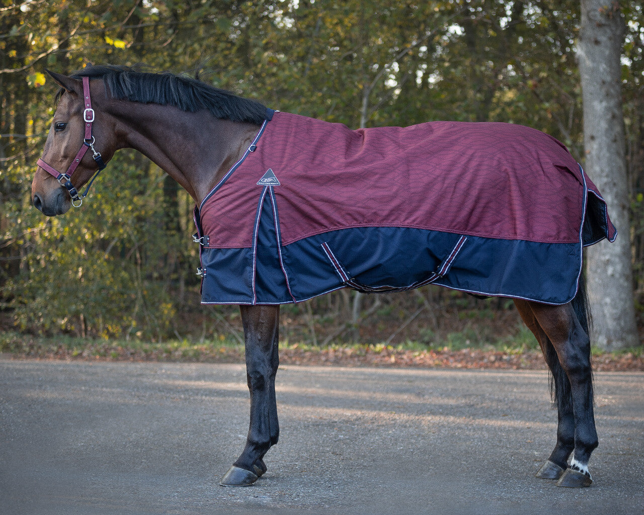 Cherry Fleece lined Turn our Rug by QHP