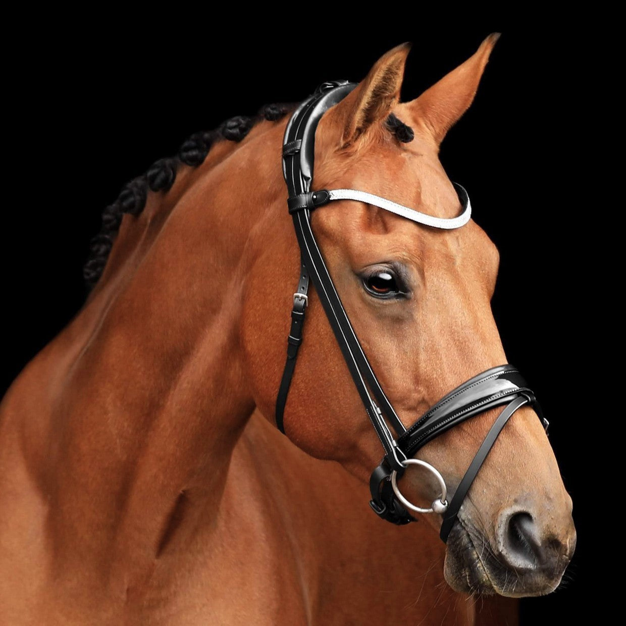 SD Cornetto Bridle