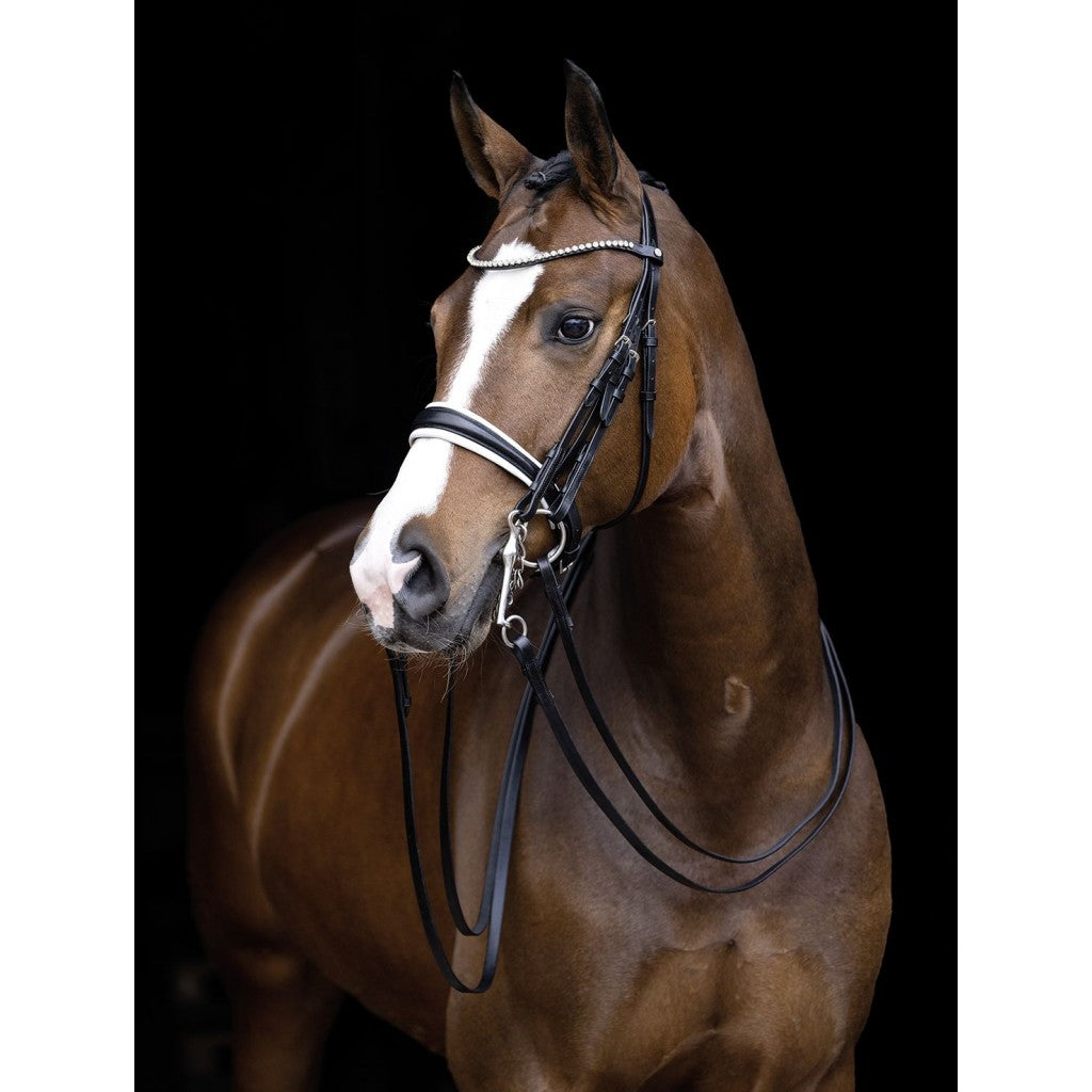 HKM Double Bridle Dina in Cob and Pony sizes