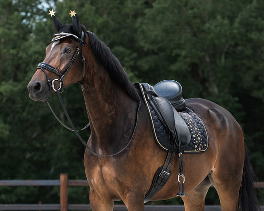 Saddle Pad Celebrate