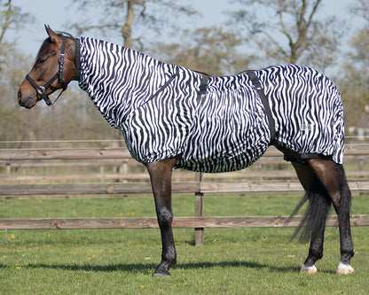 Eczema Rug Zebra by QHP