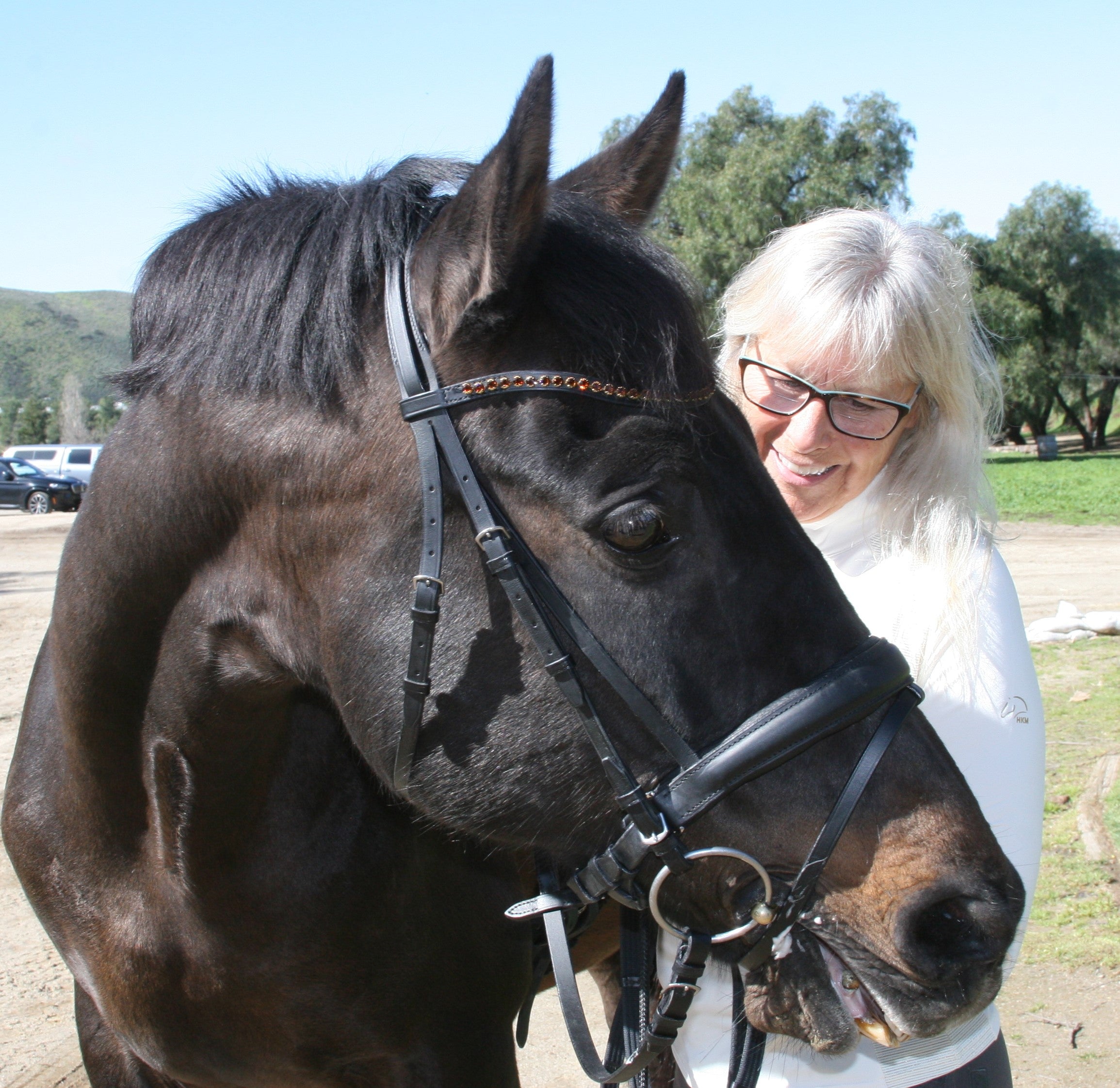 Classic Plain Snaffle Bridle by Dobert