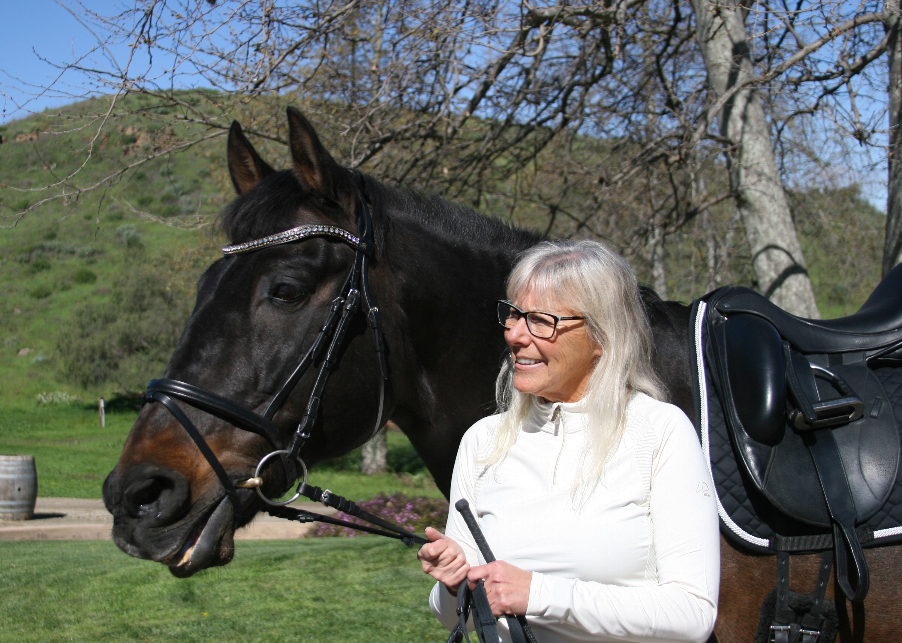 Classic Plain Snaffle Bridle by Dobert