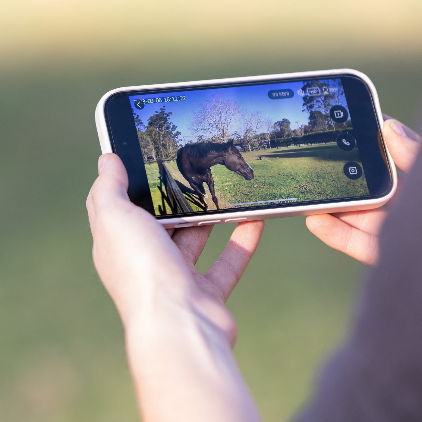 Equine Eye Vision