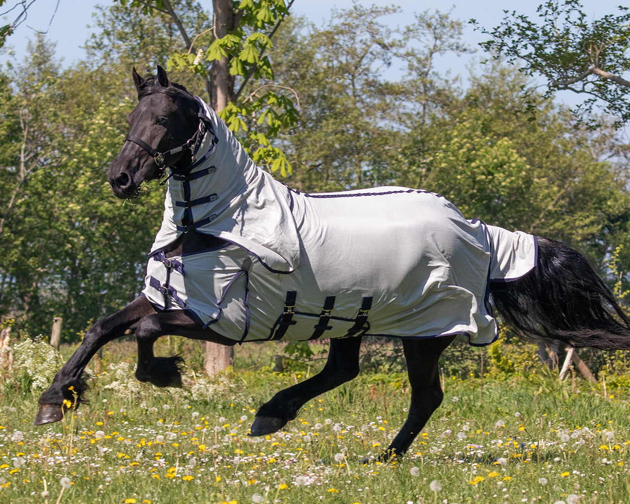 Big Neck fly Sheet with Hood and Neck by QHP