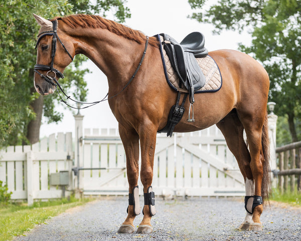 Saddle Pad Summer Focus by QHP