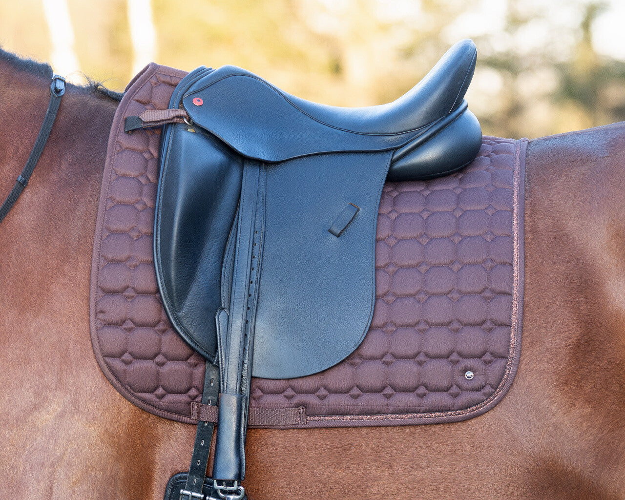 Saddle Pad Hailyn by QHP